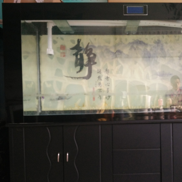 鋼琴、魚(yú)缸專運(yùn)現(xiàn)場(chǎng)